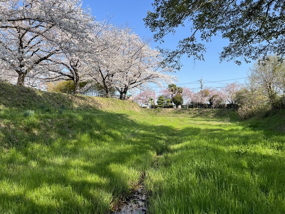 沓掛城
