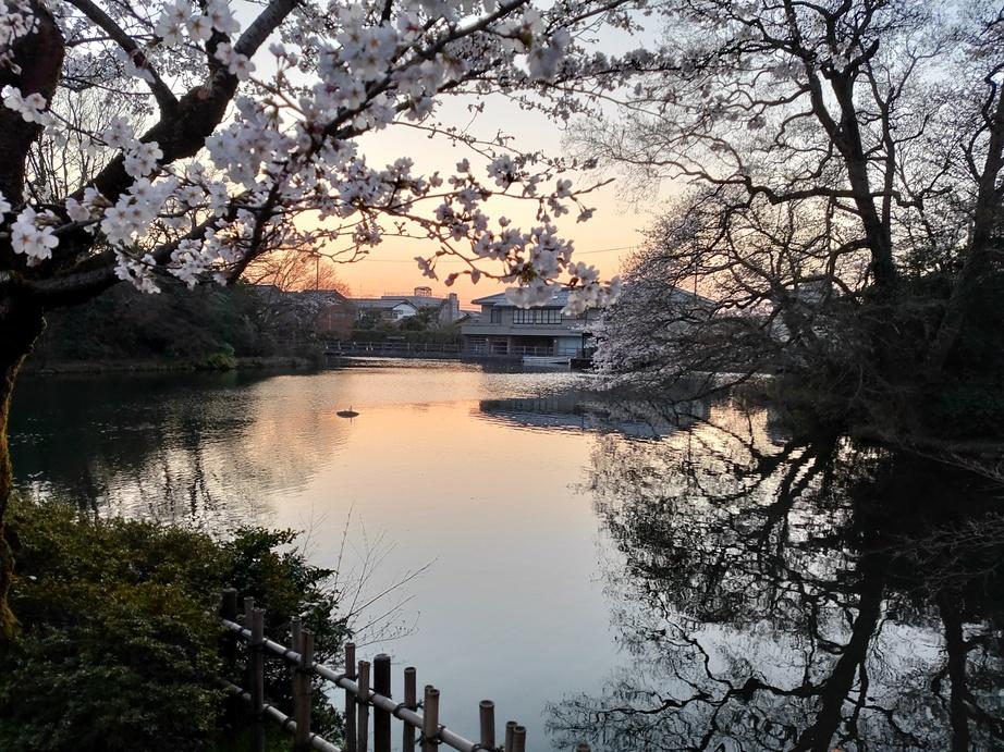 高岡城