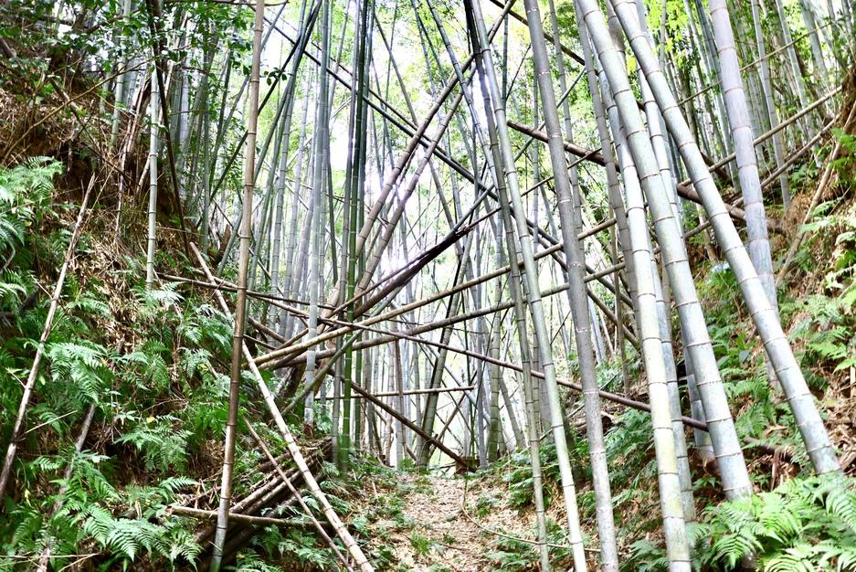 串木野城