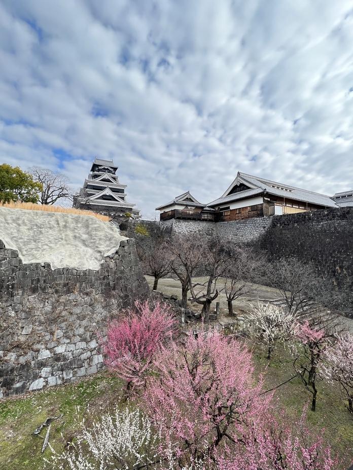 熊本城
