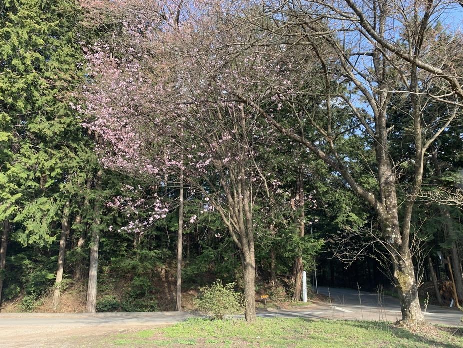 赤須城