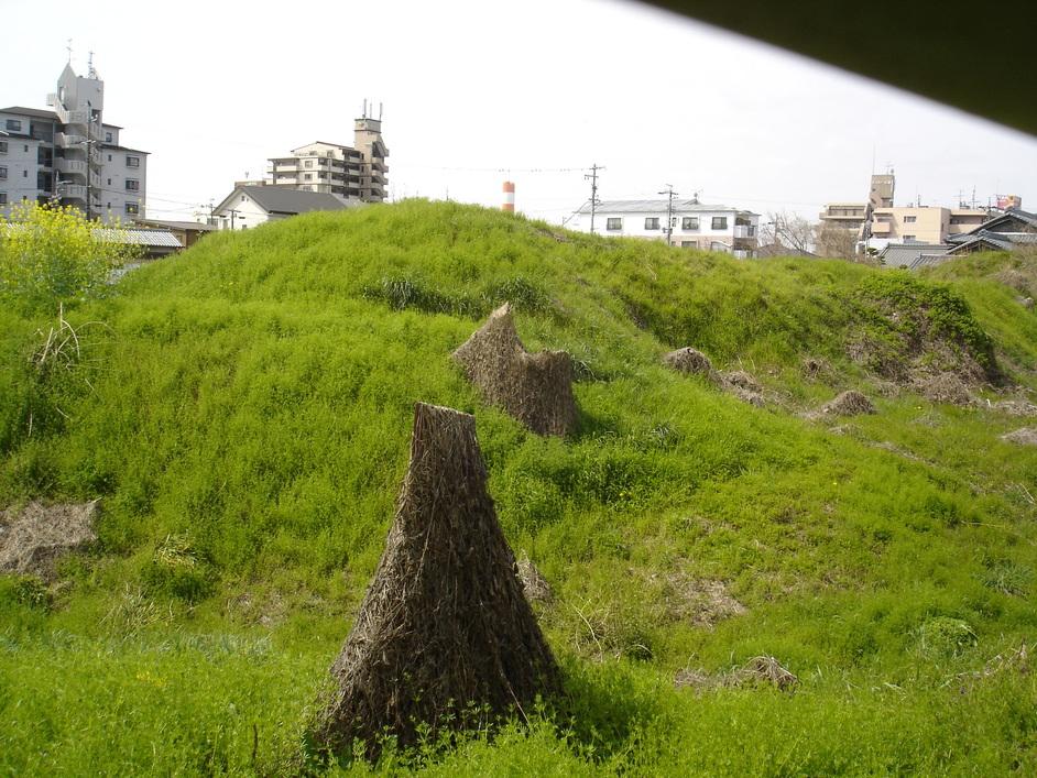 上条城