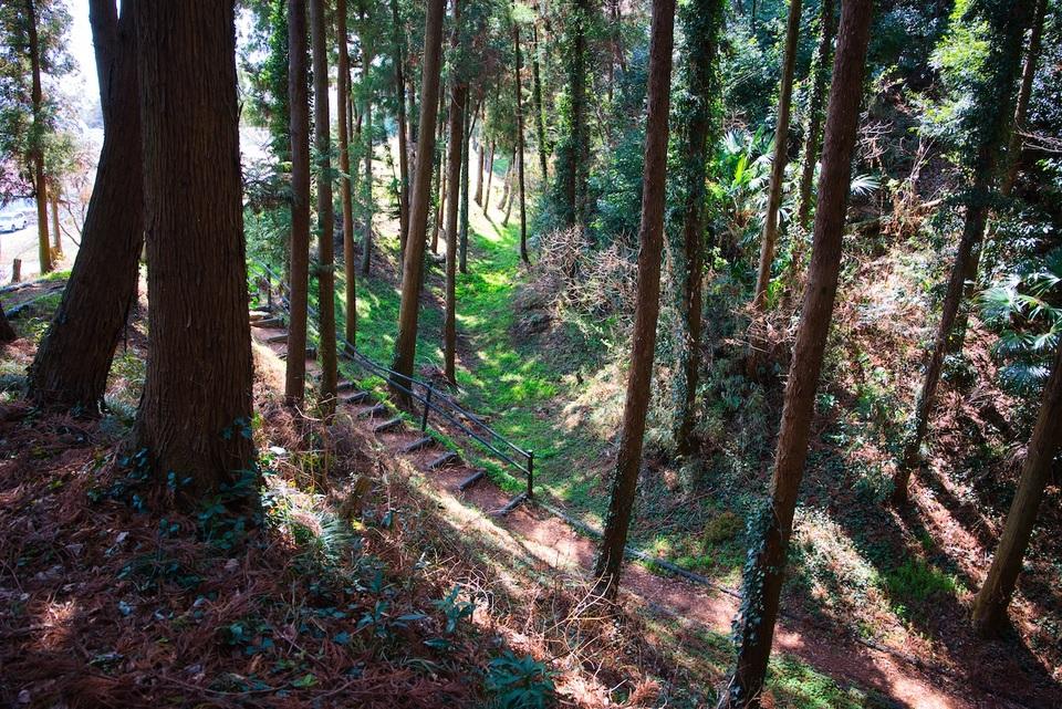 白井城