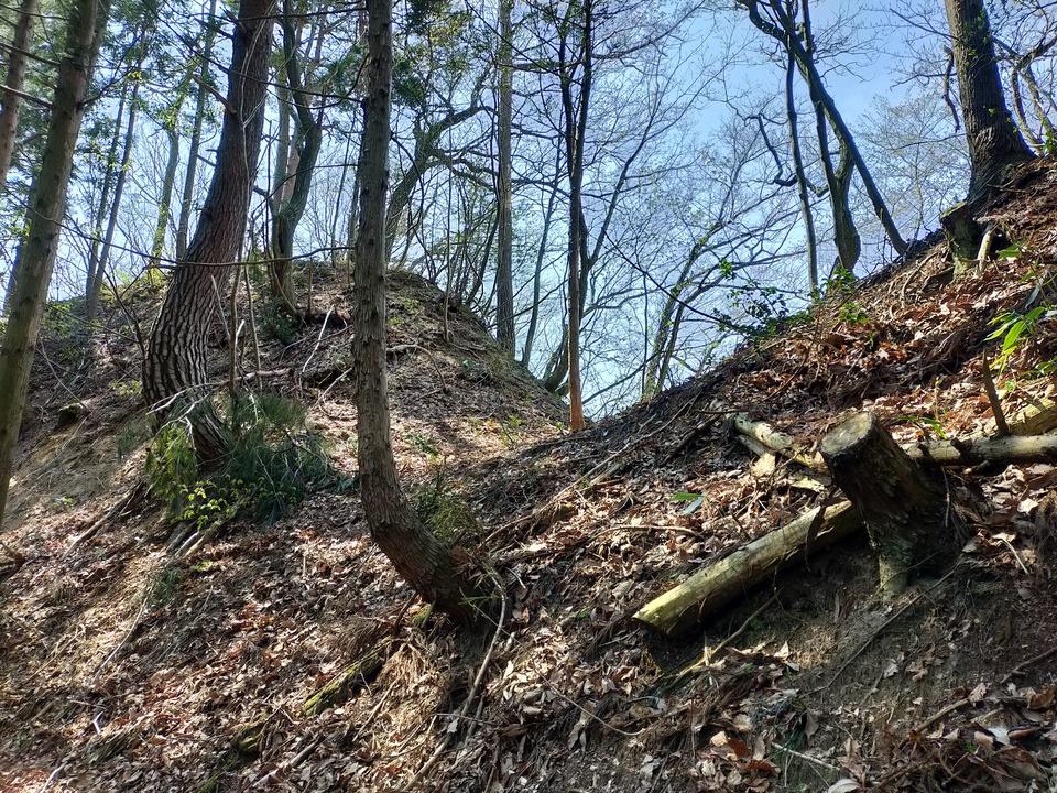 猿沢城
