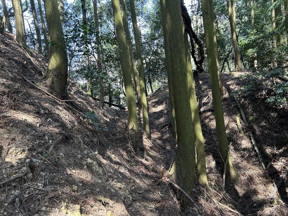 山家城