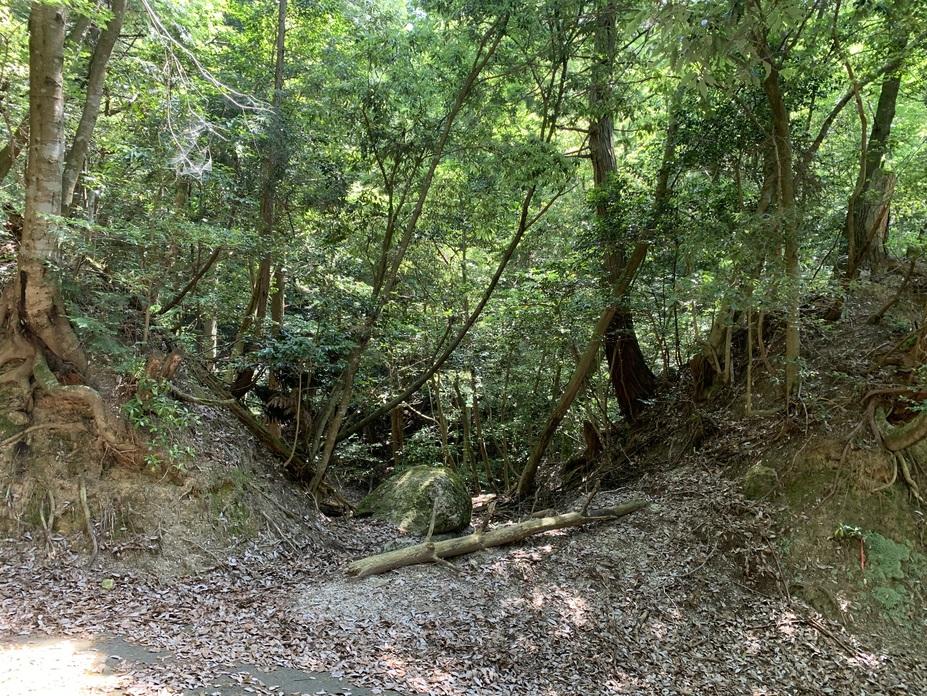 歓喜寺城