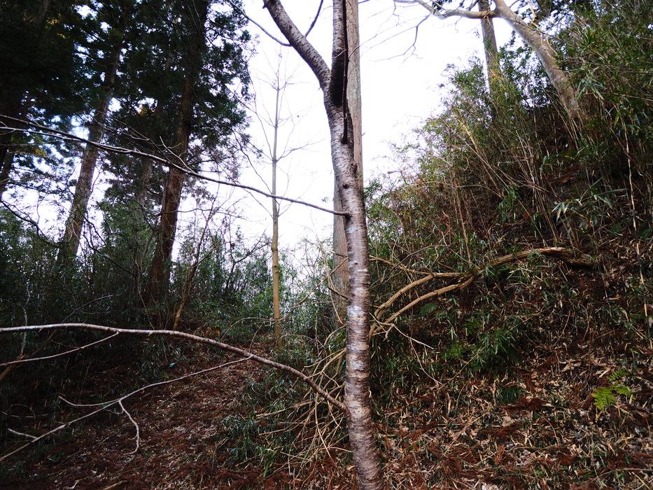 羽黒山城