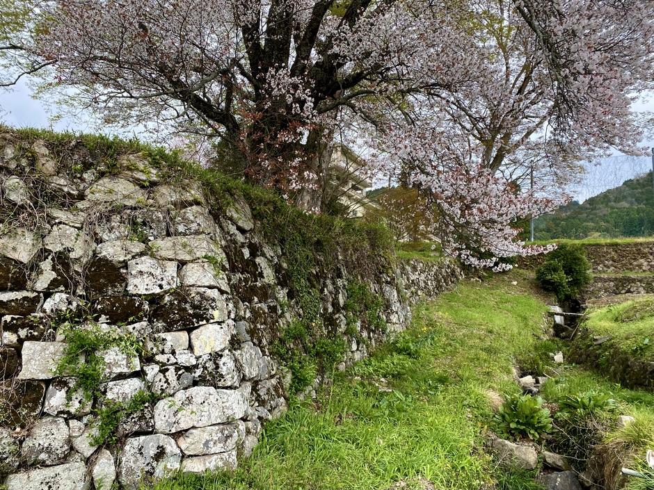 地黄城