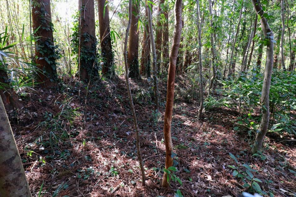 穆佐城