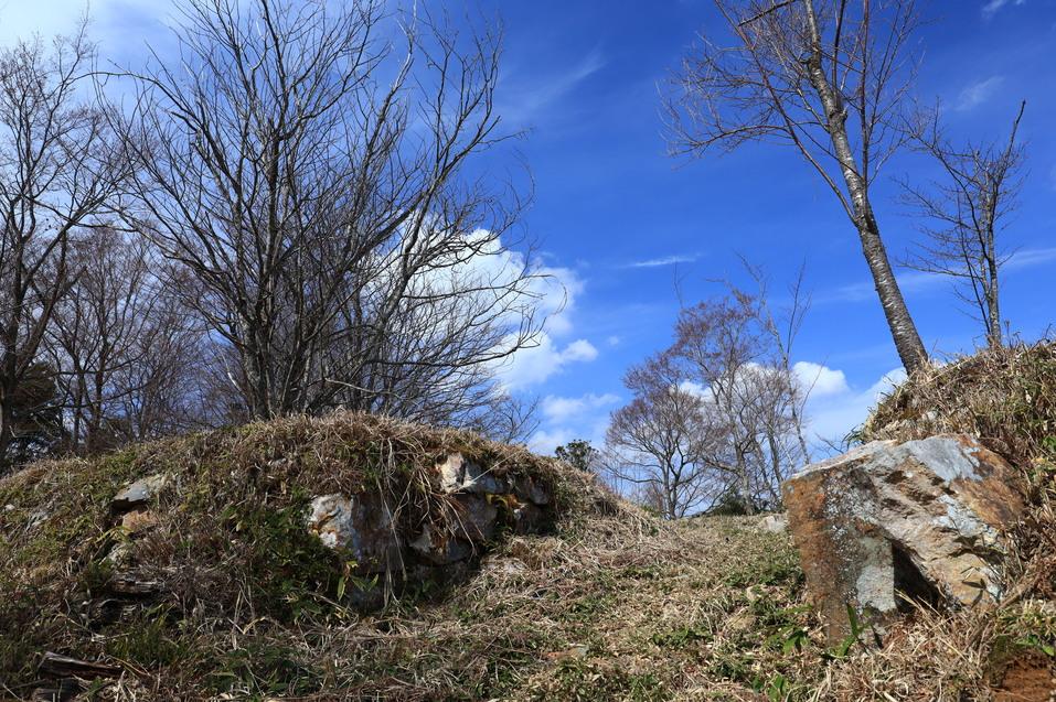 丸山城
