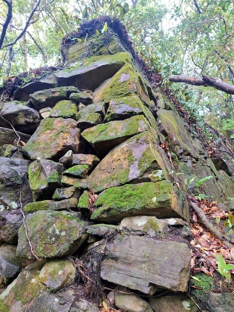 佐野鞍懸城