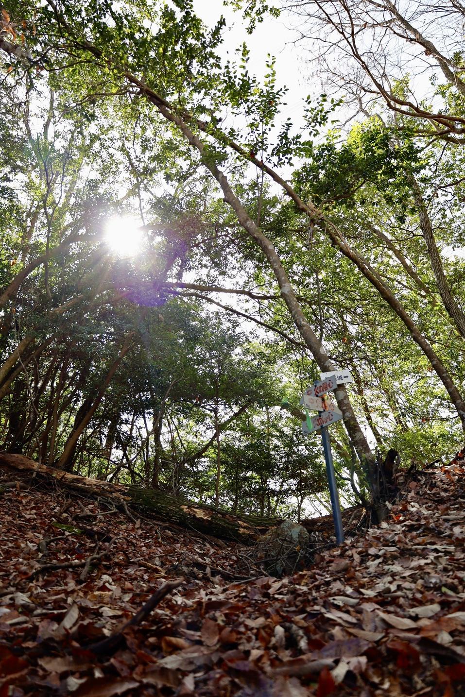 笑路城