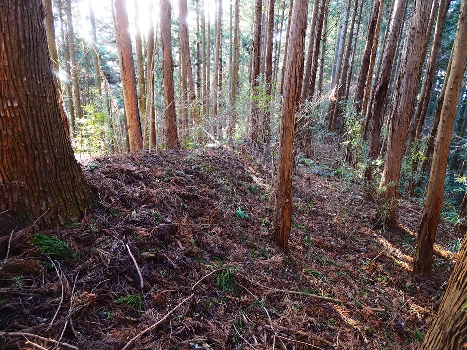 羽黒山城