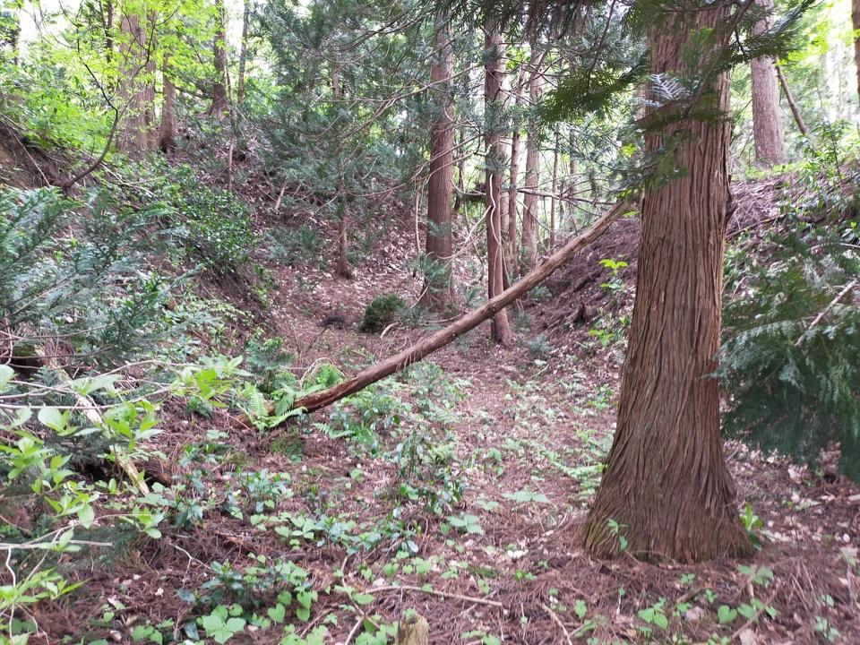 本与板城