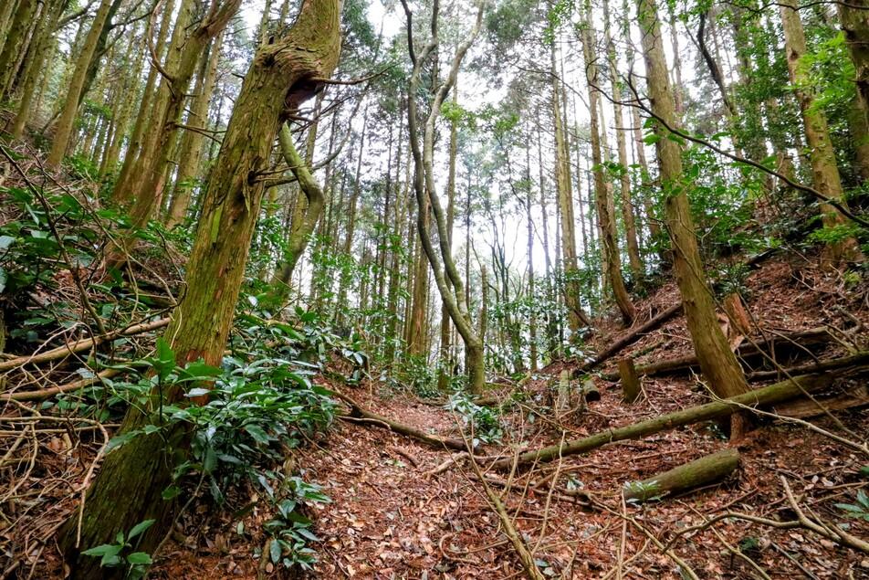 鷹取山城