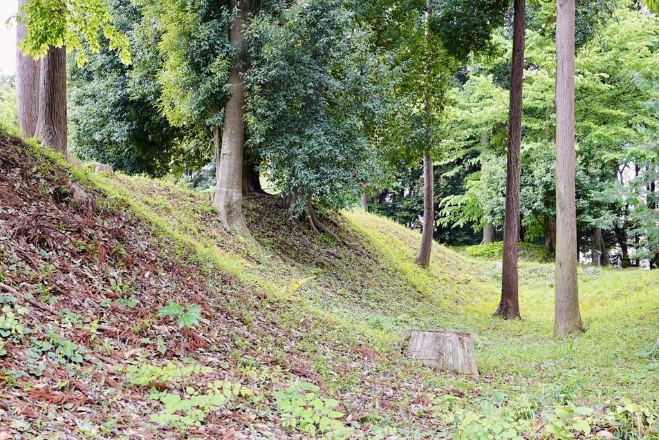 松ヶ崎城
