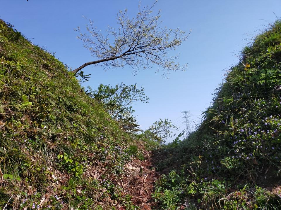 大井田城