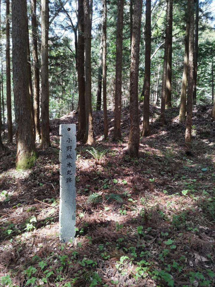 小野城