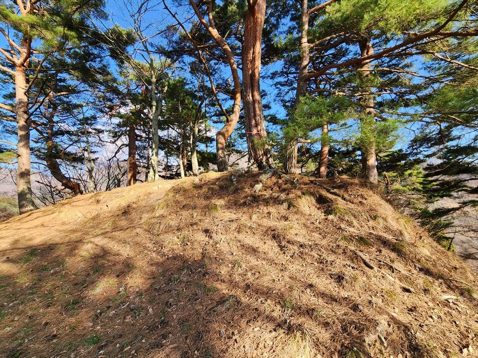 真田本城