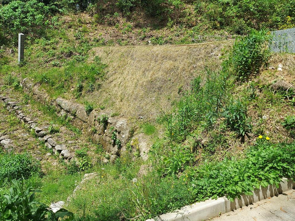 おつぼ山神籠石