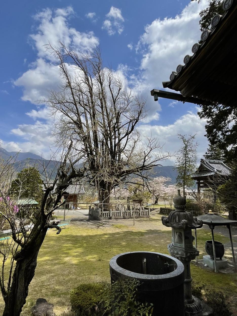 下山城