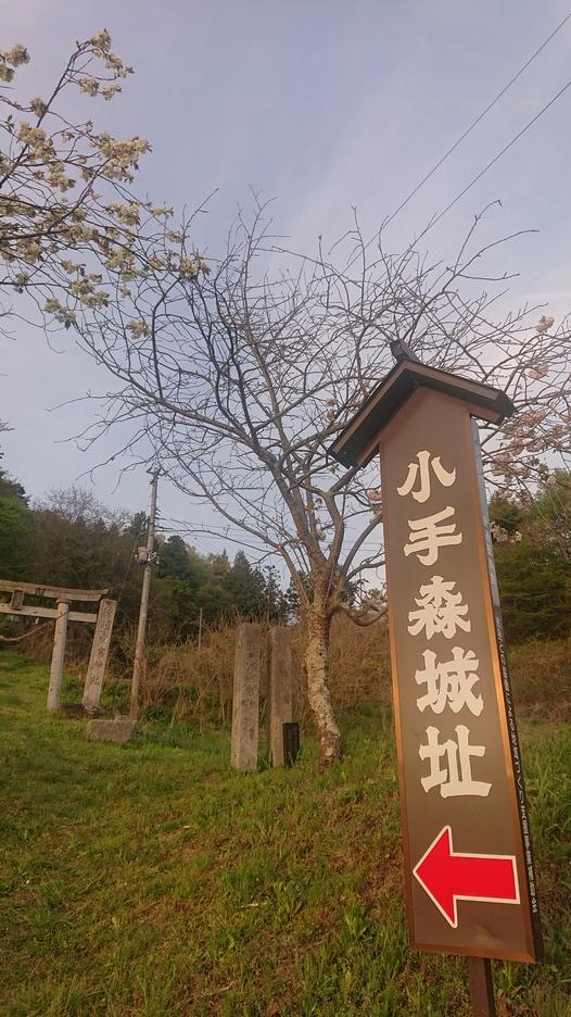 小手森城