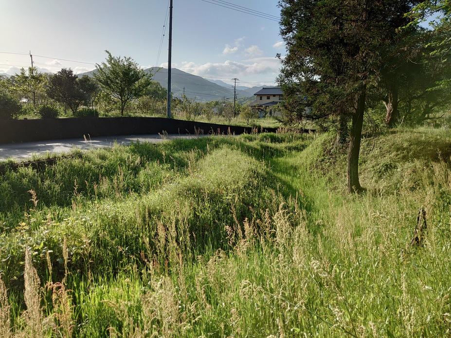 重清城