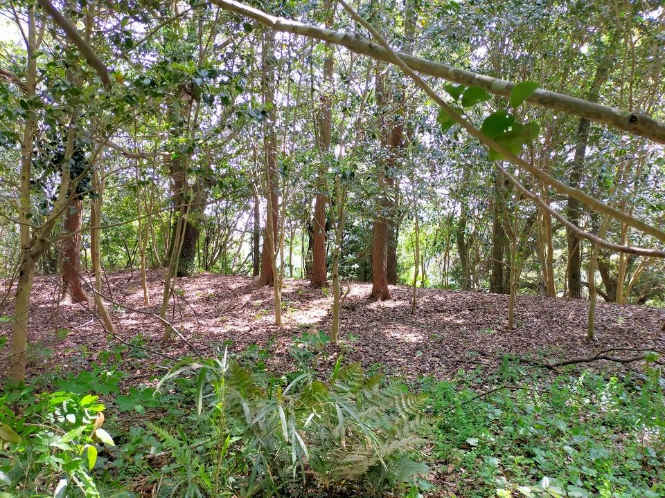 小林城