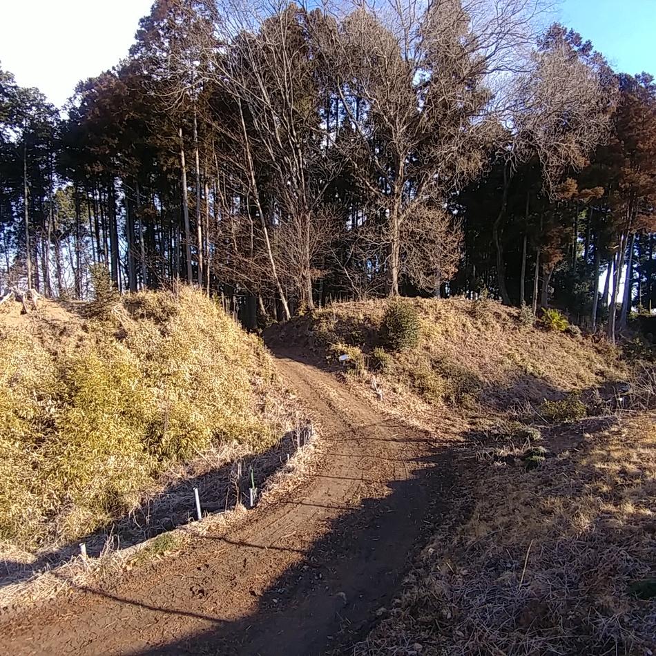岡本城