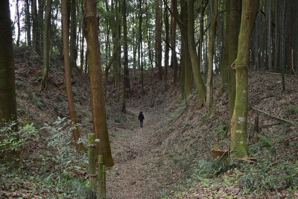 小幡城
