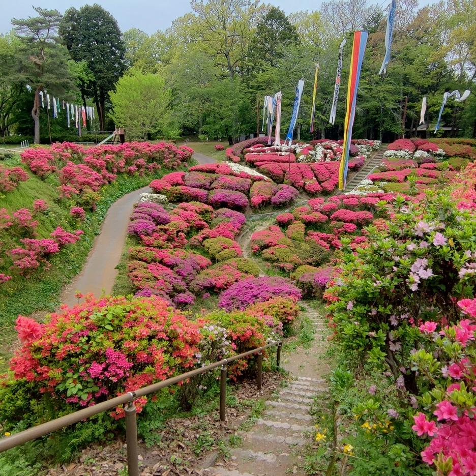 大島城