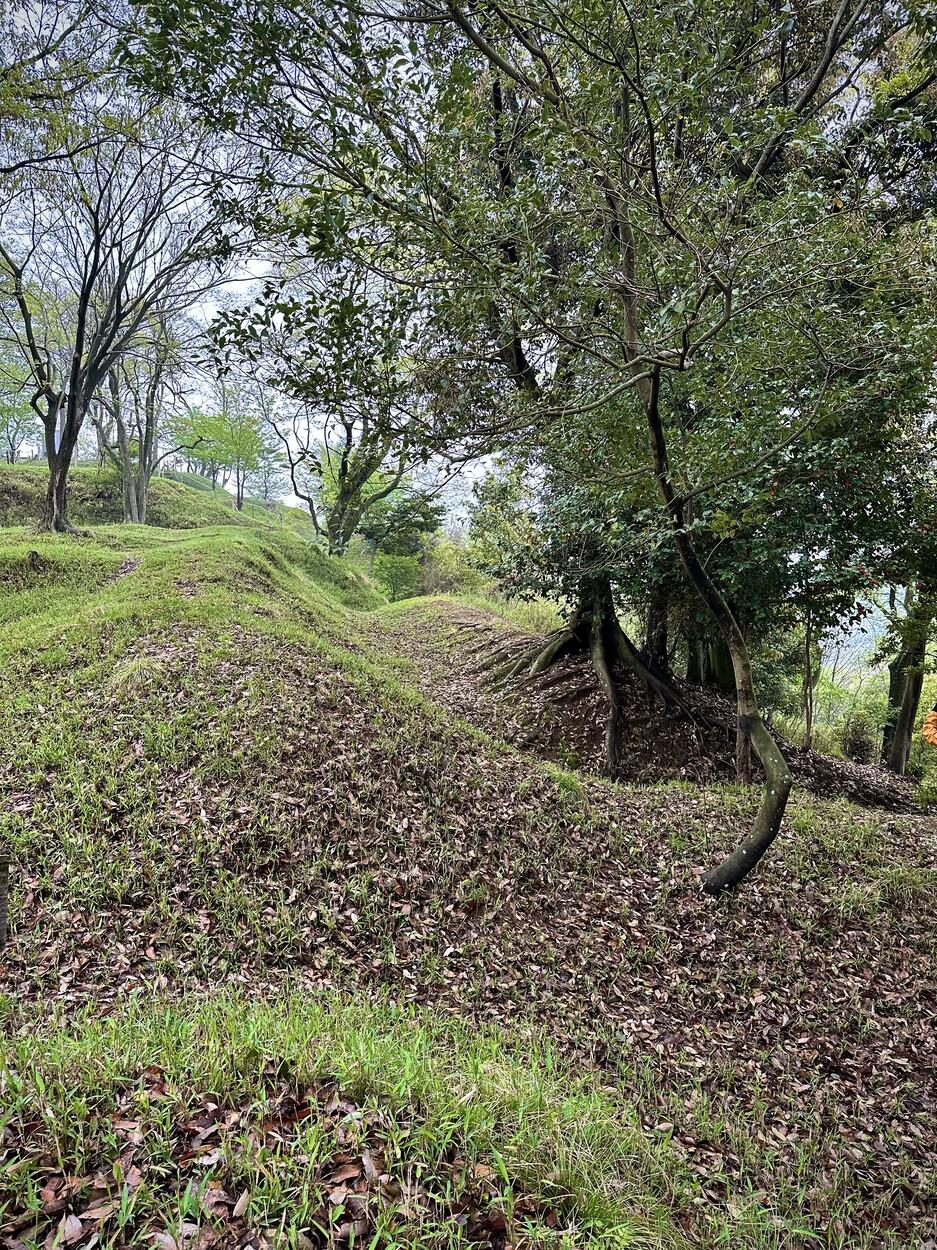 小谷城