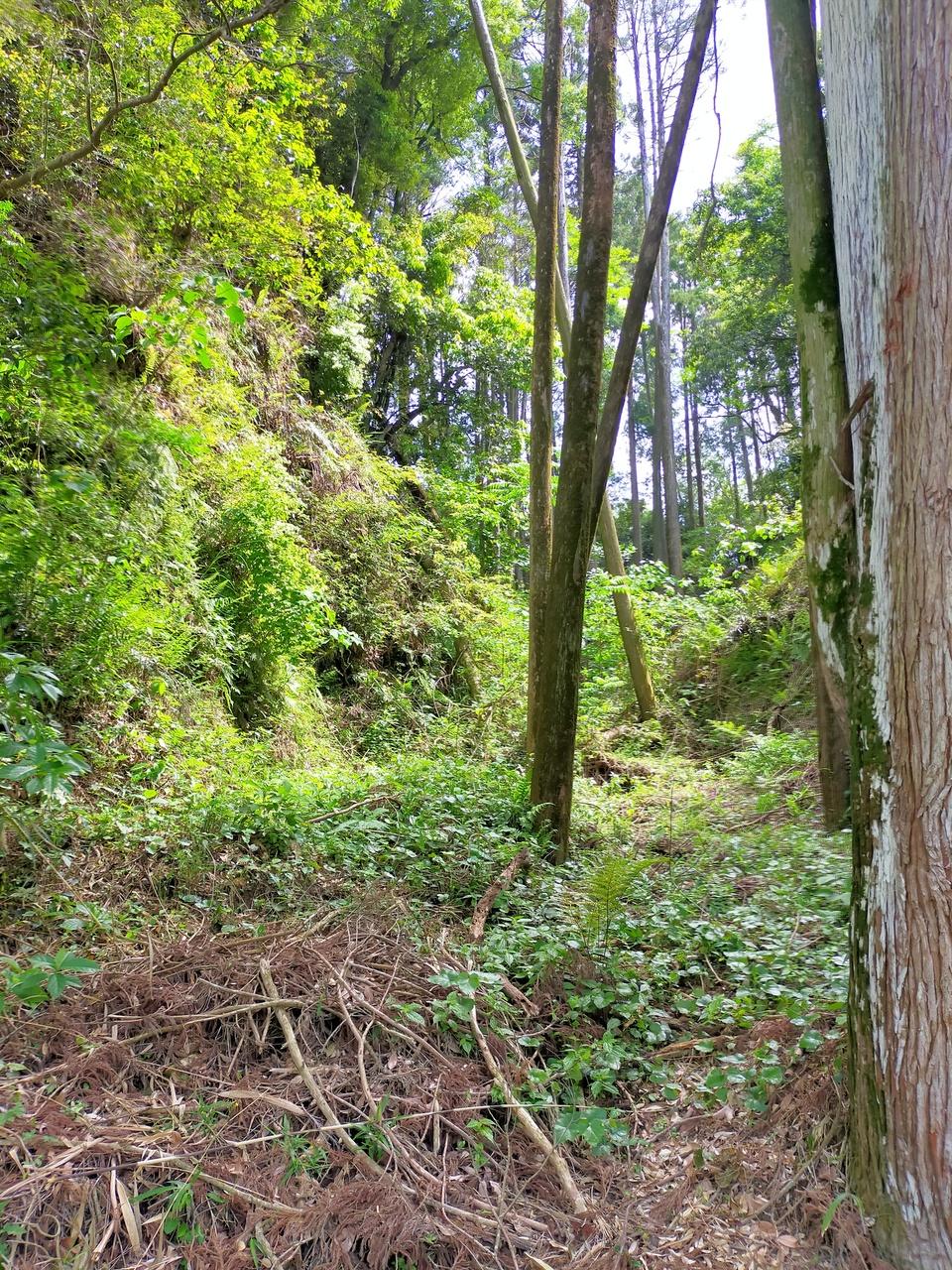 蓬原城