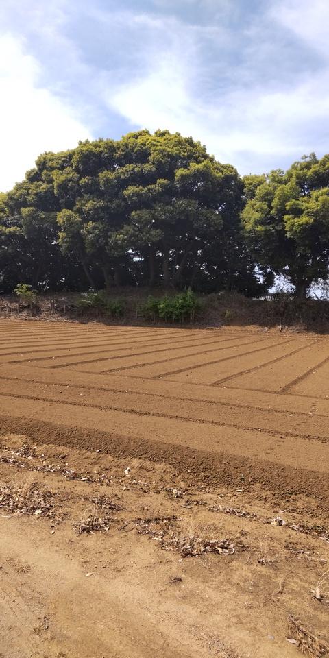 米ケ崎城