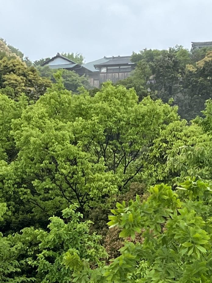 八幡山城
