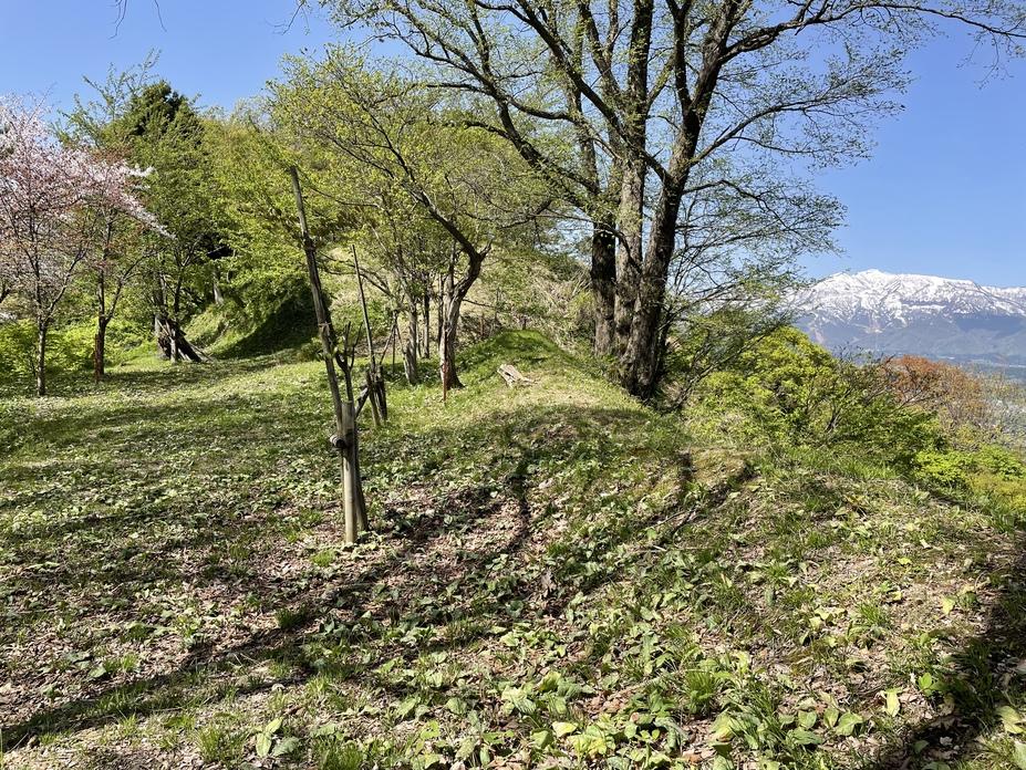 鳥坂城