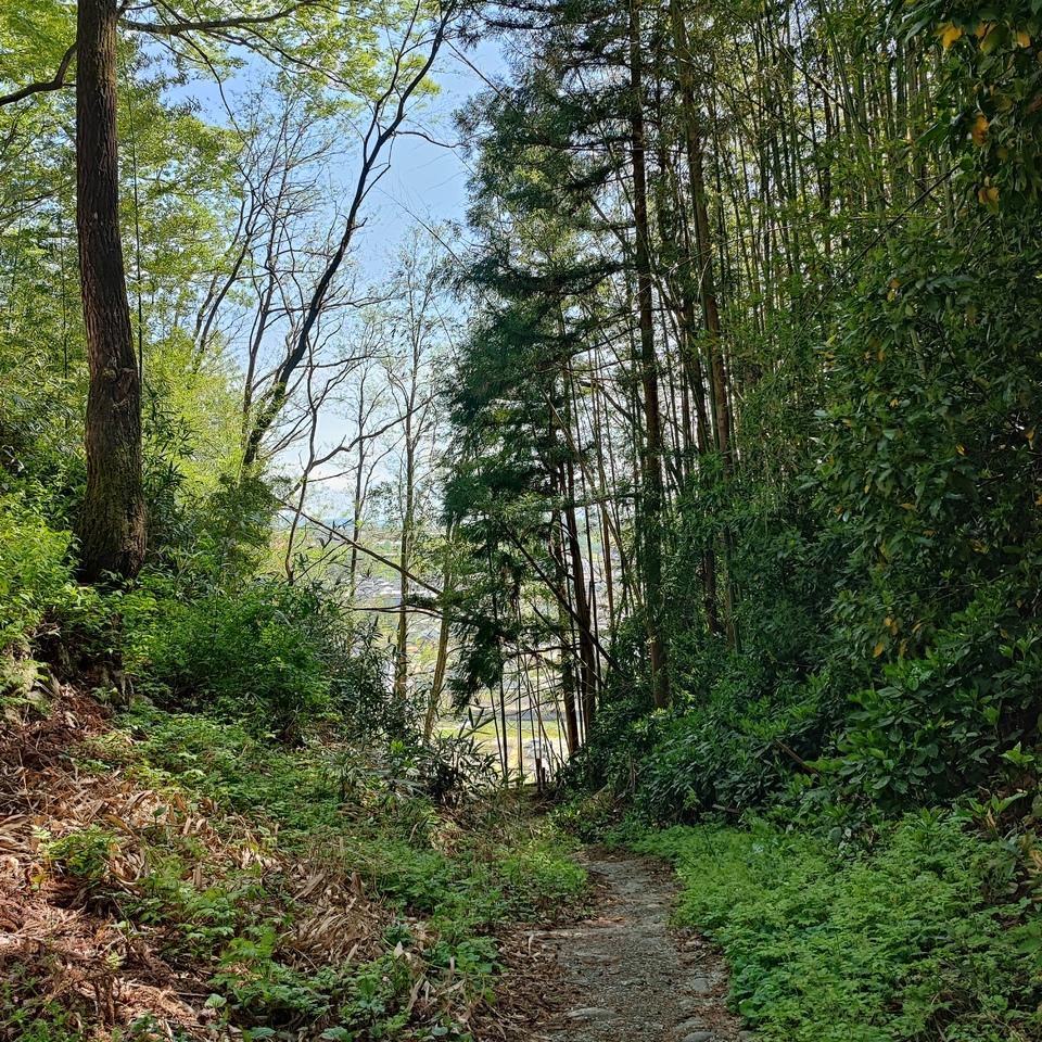飯田城