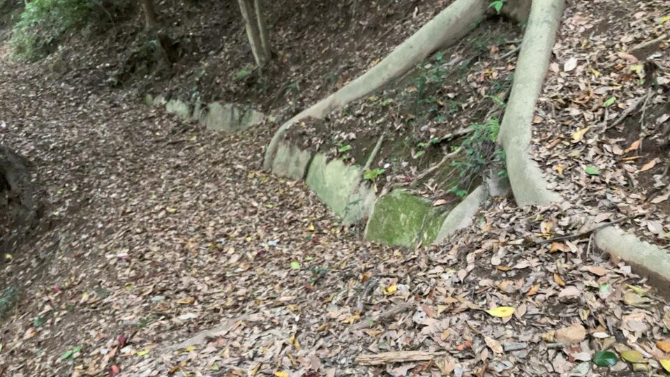 石城山神籠石