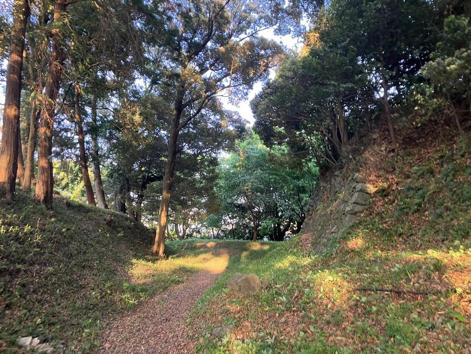 田丸城
