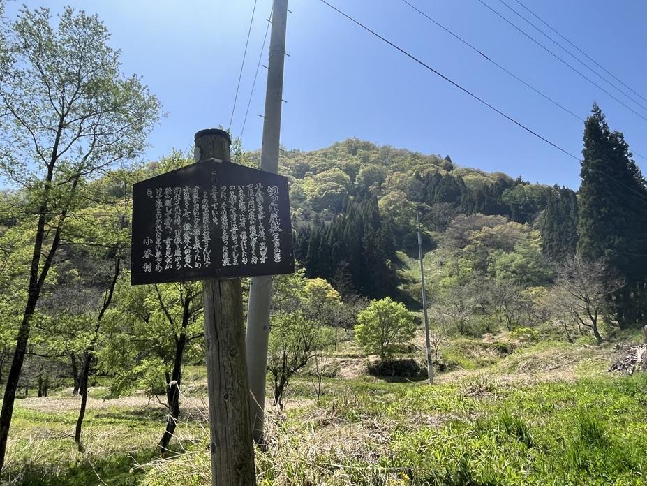 平倉城