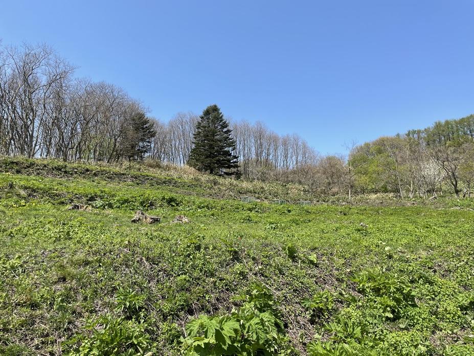 ハママシケ陣屋