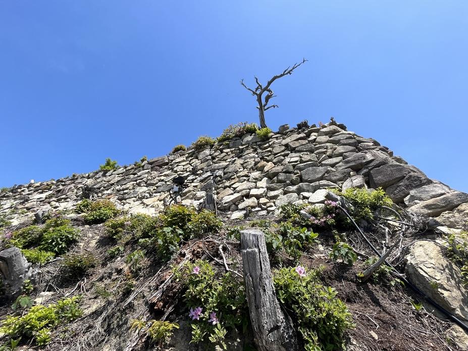 八幡山城