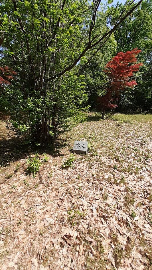 和田山城