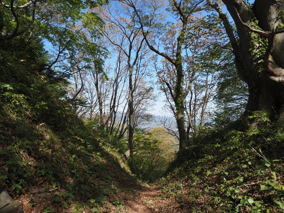 鳥坂城