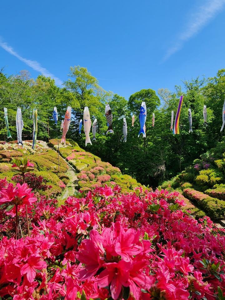 大島城