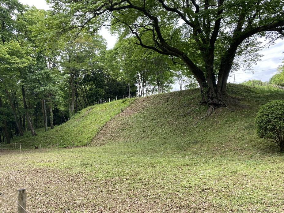 鉢形城
