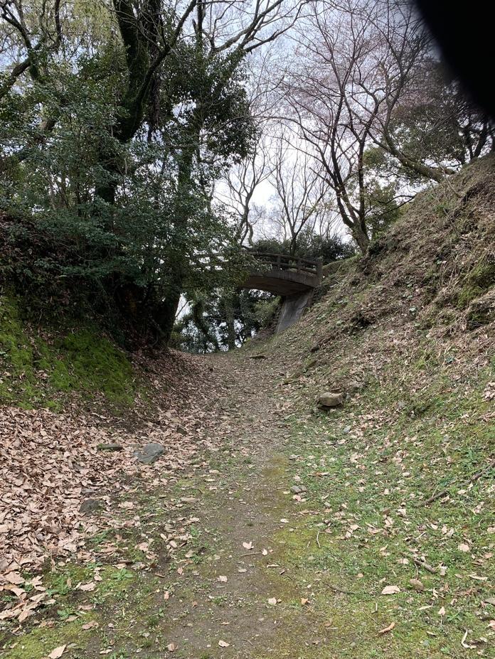 朝日山城