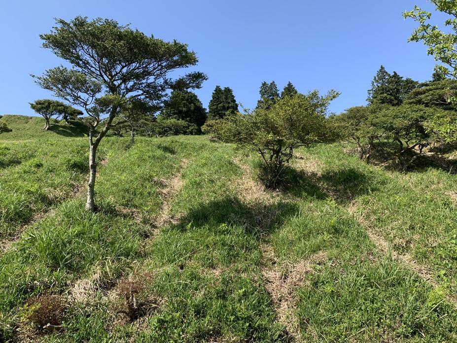 鷹取城