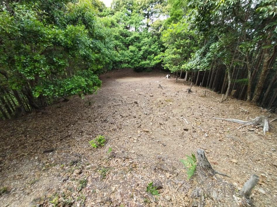 鷹巣山城