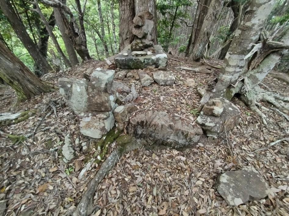 鷹巣山城